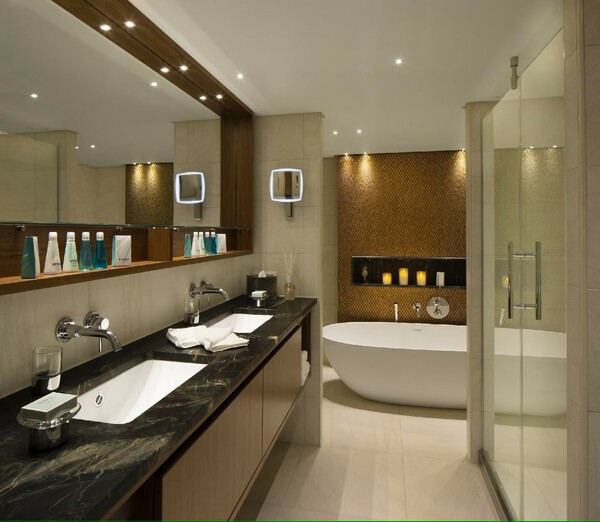 AmaWaterways AmaMagna - Bathroom 2.jpg